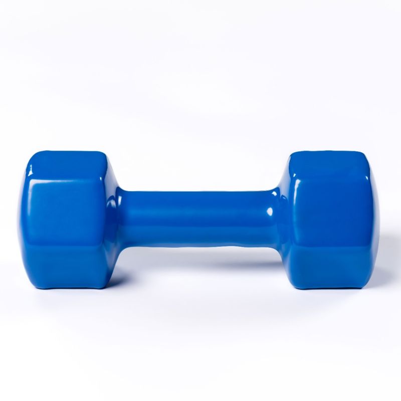Гантель в виниловой оболочке, шестигранник PROFI-FIT 5 кг, синяя