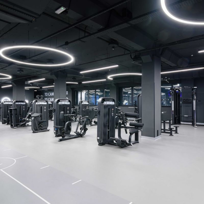 E7031JZ Разгибание спины. Стек 135 кг