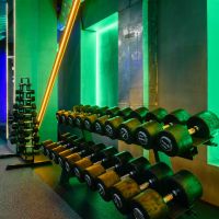 Гантельный ряд профессиональный (шаг 2,5 кг, 5 пар) PROFI-FIT 27,5-37,5 кг
