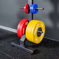 A3054 Стойка для олимпийских дисков